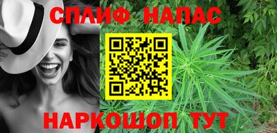стаф Малоярославец